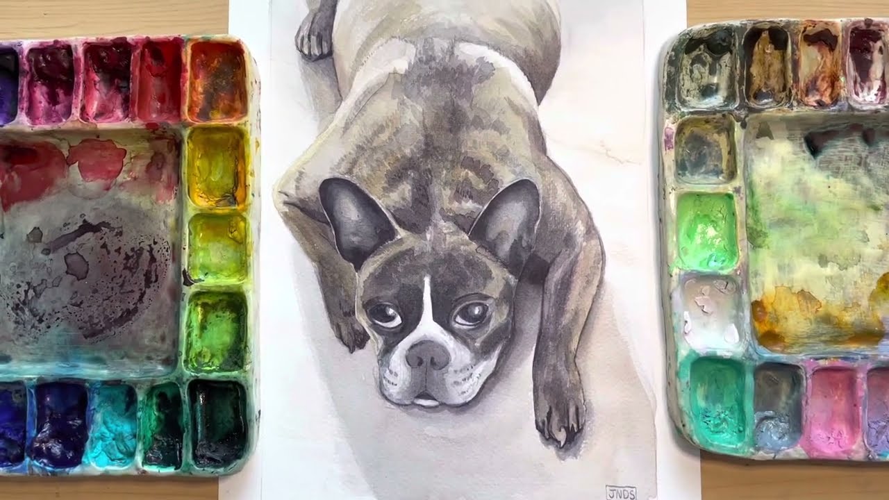 Louie the French Bulldog, Watercolour Time-Lapse, Pet Portrait. JNDS