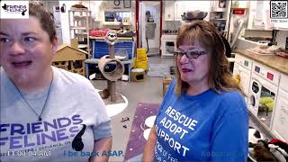 Q&A and Updates 05-17-2024  Friends of Felines Rescue Center (FFRC)