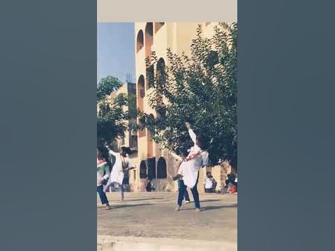 independence day dance jai ho song