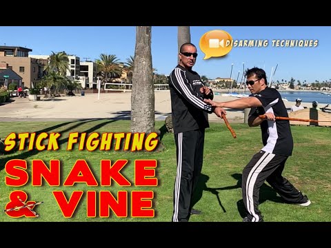 ⚔️STICK FIGHTING - Escrima Snake & Grapevine stripping