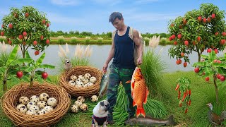 Chairman Trieu Harvests Fish, Quail Eggs, Fruit  For Cook & Sell , Clears Land To Expand The Farm