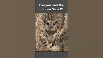 Find The Hidden Object.