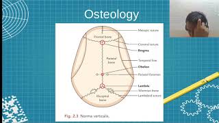 MBBS AN26.1 AN26.2 Skull Anatomy | Sudharshan PB