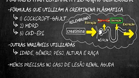 Como calcular TFG?