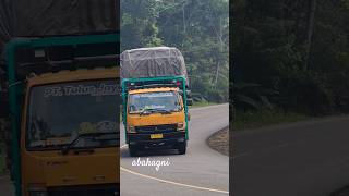 Truck tronton fuso logging kayu muatan full 110426 #viral #truck #truk #truckdriver #trukoleng