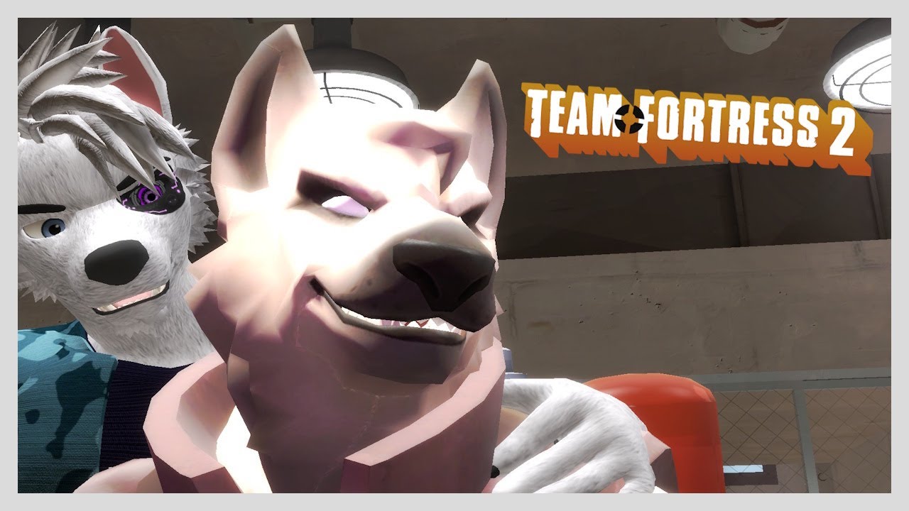 Tf2 Medic Wolf Head
