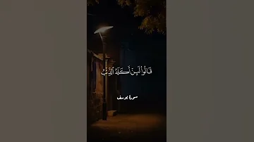 الشيخ سيد سعيد 