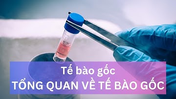 Tế bào gốc: TỔNG QUAN VỀ TẾ BÀO GỐC