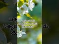 Praise the lord🙏telugu bible#jesuschrist#viralshort#shorts#ytshorts #teluguverse#devunivakyamu