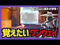 知らないと損。超守りやすくなる最強ワンウェイ【アセント/サイファー/Masters London】