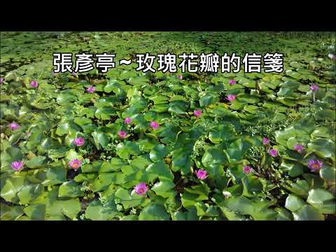 張彥亭 ~ 玫瑰花瓣的信箋 ~ 費玉清
