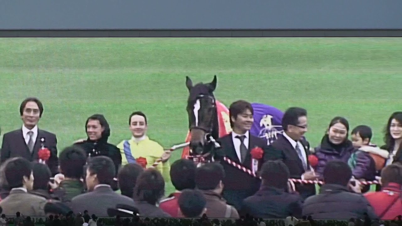 ジャパンカップ 優勝馬 ウオッカ号 2009年11月29日（日）東京競馬場 