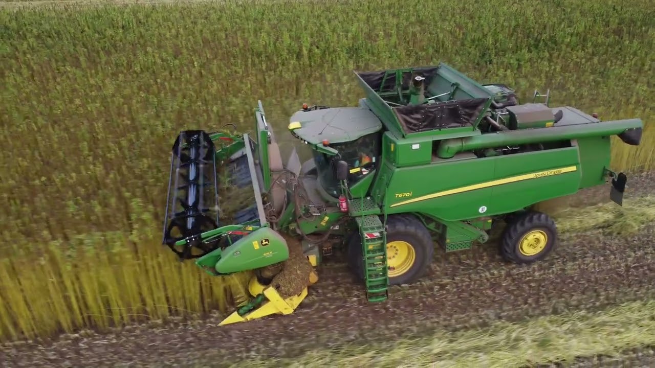 Pioneerprojekt Faserhanf VSE - Hanfernte 2023