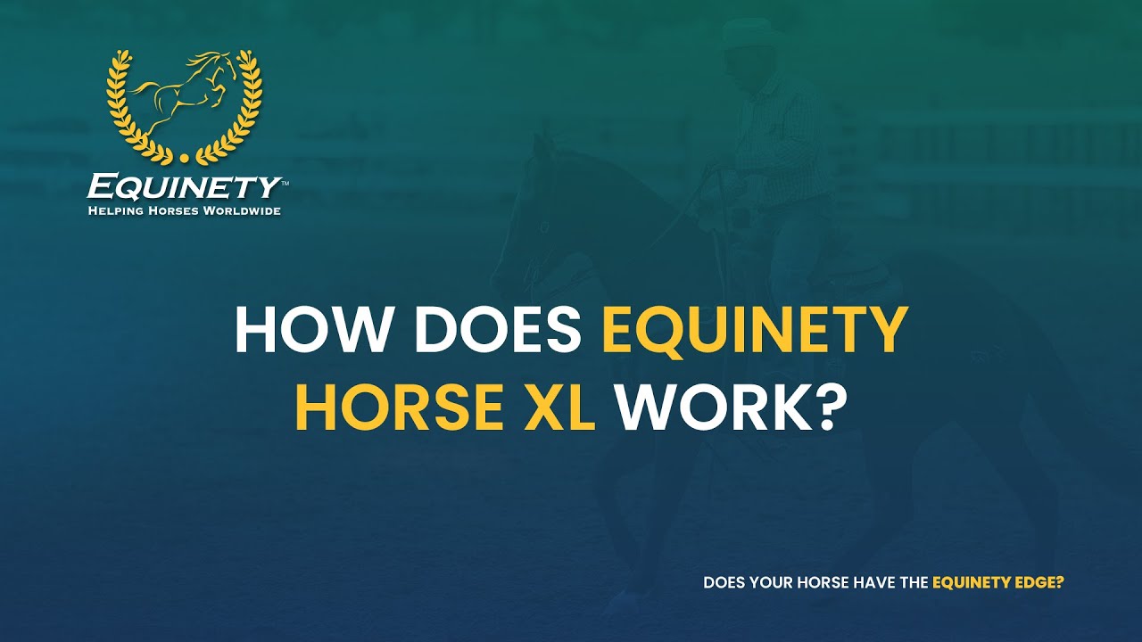 How Does Horse XL Work FAQs YouTube