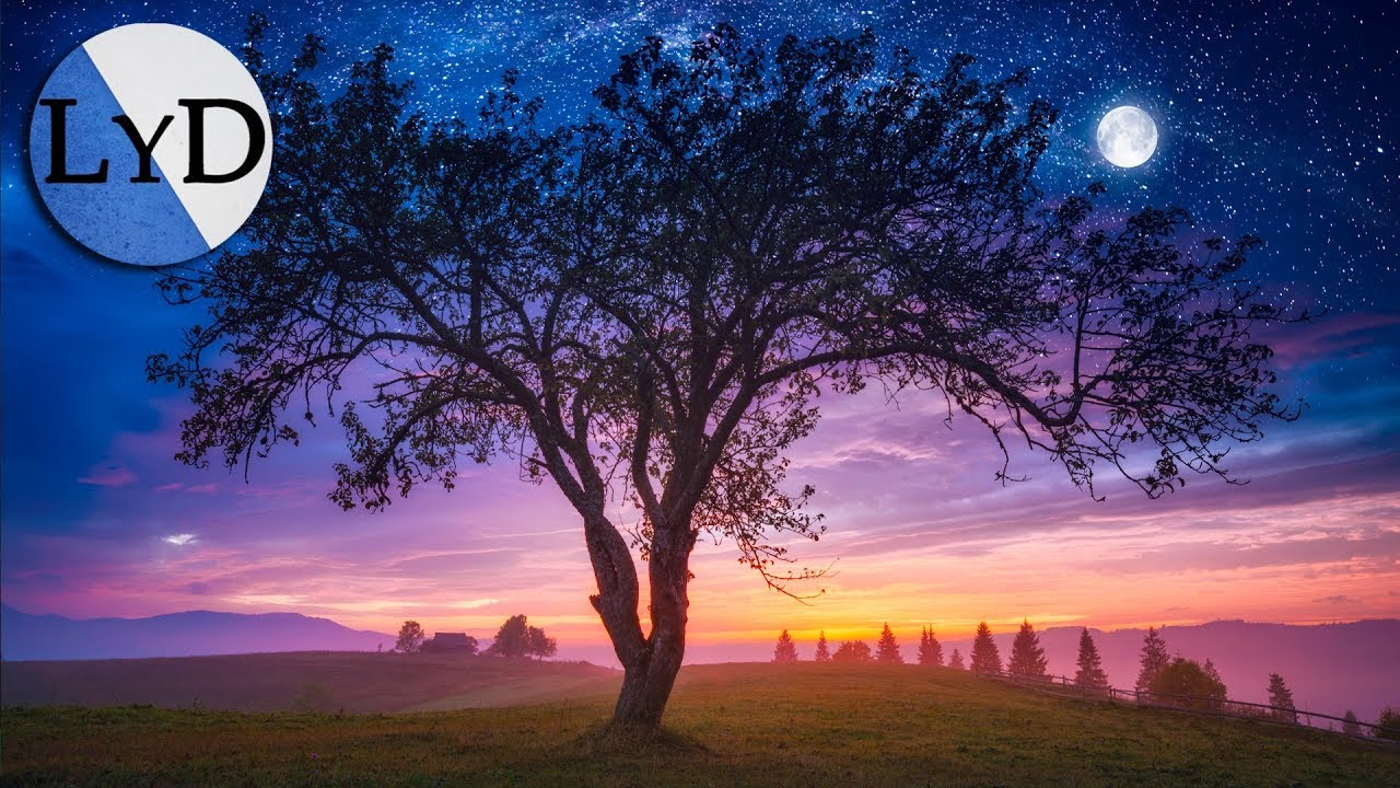 musica relajante para dormir y relajar la mente