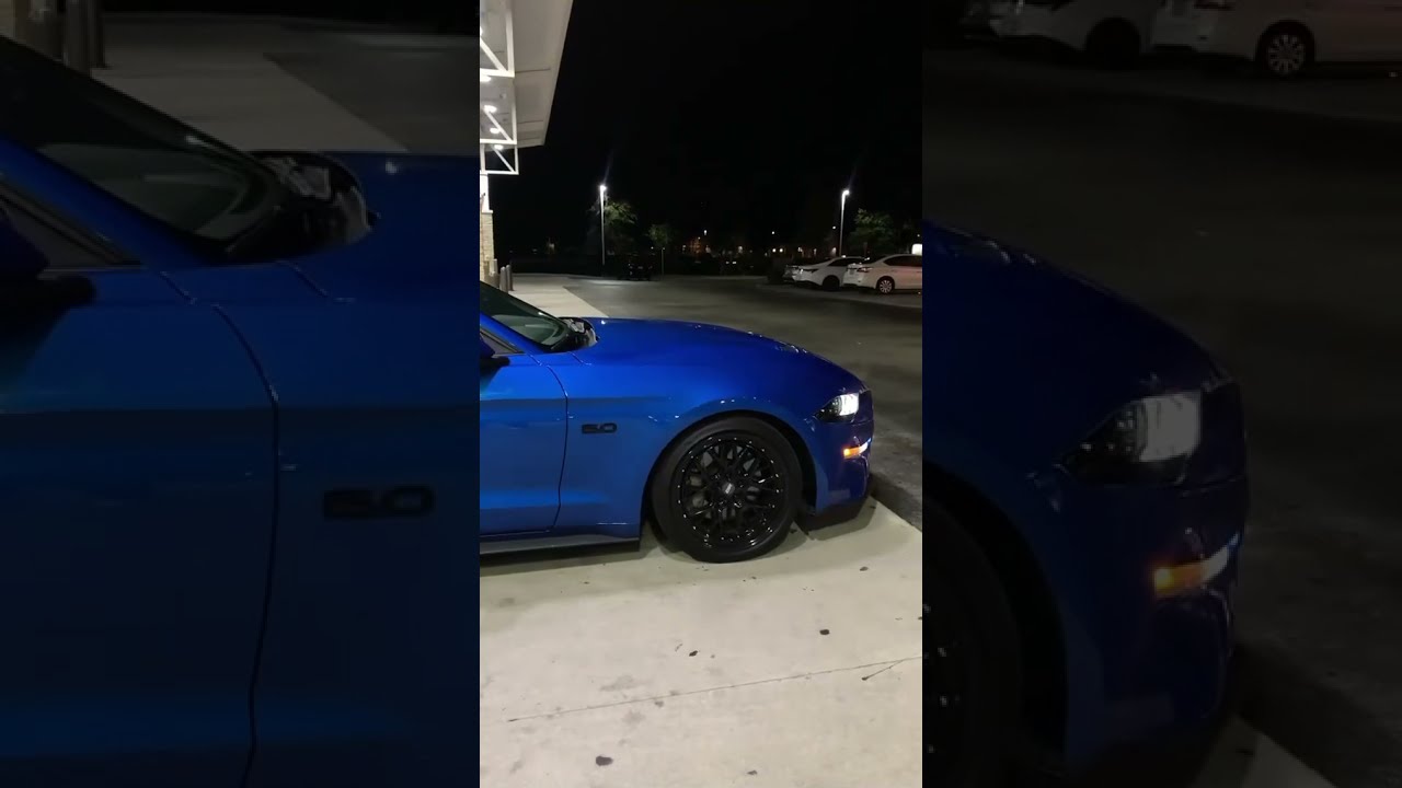 MUSTANG GT SENDS IT Shorts