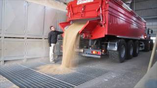 Grimme Multitrailer 350 transportiert Weizen