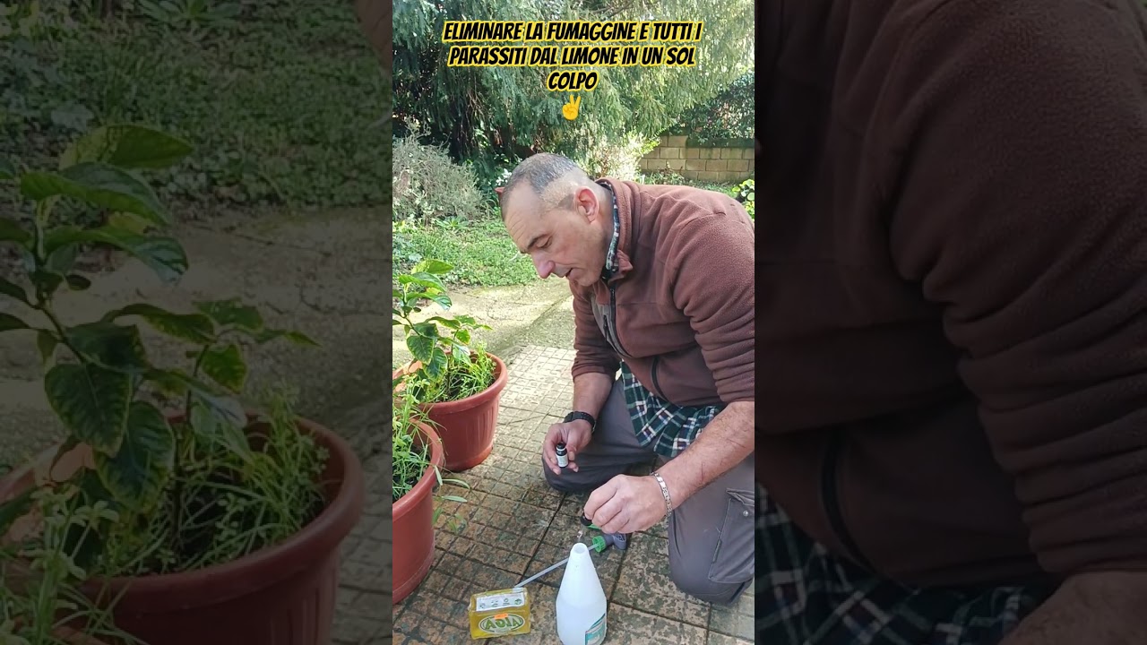 SUL CANALE TROVI IL VIDEO CORRELATO.... RICCO DI PARTICOLARI CIAO...👍