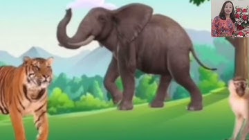 KPKH: tìm hiểu về một số con vật sống trong rừng GVTH: Vũ Thị Thu Cúc