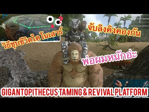 ARK Mobile EP45 จับลิงคิงคองและสอนวิธีชุบชีวิตไดโนเสาร์ให้พวกมัน [Gigantopithecus & RevivalPlatform]