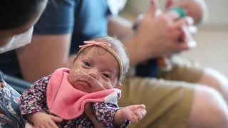 First quadruplets born at MUSC Shawn Jenkins Children's Hospital