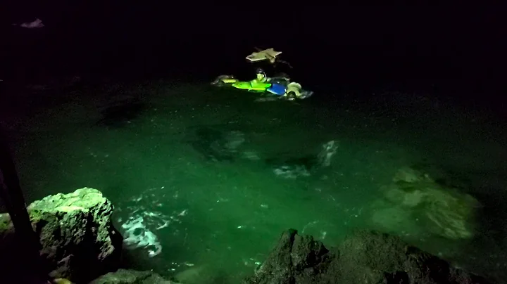 Manta Ray Snorkel at Mauna Kea