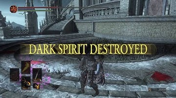 Dark Souls III - Hyperarmor vs Hyperarmor + LeoRing