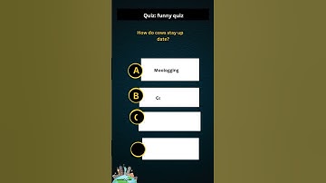 fun Quiz Challenge Can You Pass?