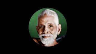 BE AS YOU ARE - THE JNANI - RAMANA MAHARSHI  - David Godman - lomakayu