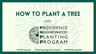 How to Plant a Tree with PNPP
