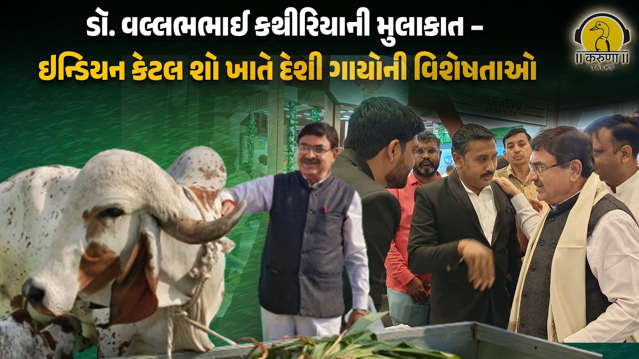 ડૉ. વલ્લભભાઈ કથીરિયાની મુલાકાત – ઇન્ડિયન કેટલ શો ખાતે દેશી ગાયોની વિશેષતાઓ l Karuna Talks