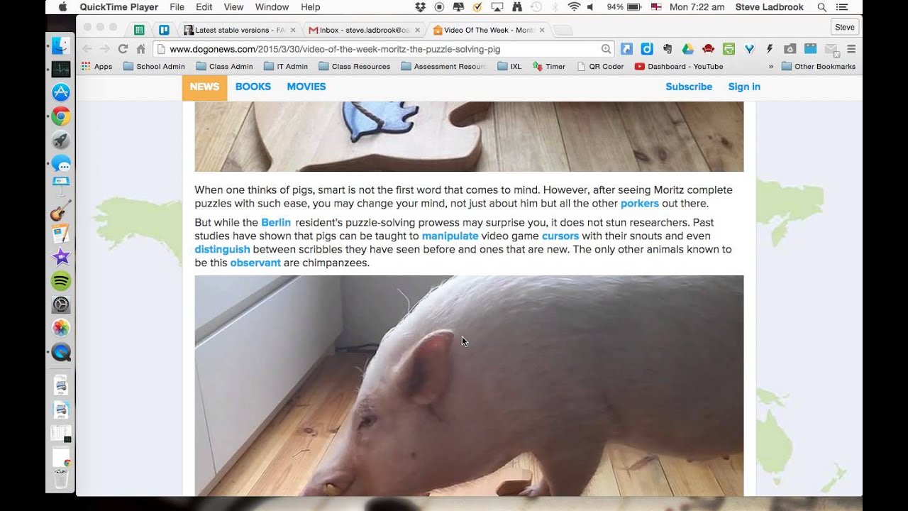 Moritz the Problem Solving pig YouTube