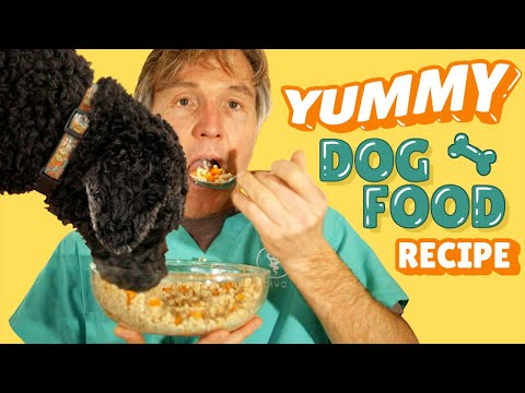 Video: Rull ut Oats Dog Treat Recipe