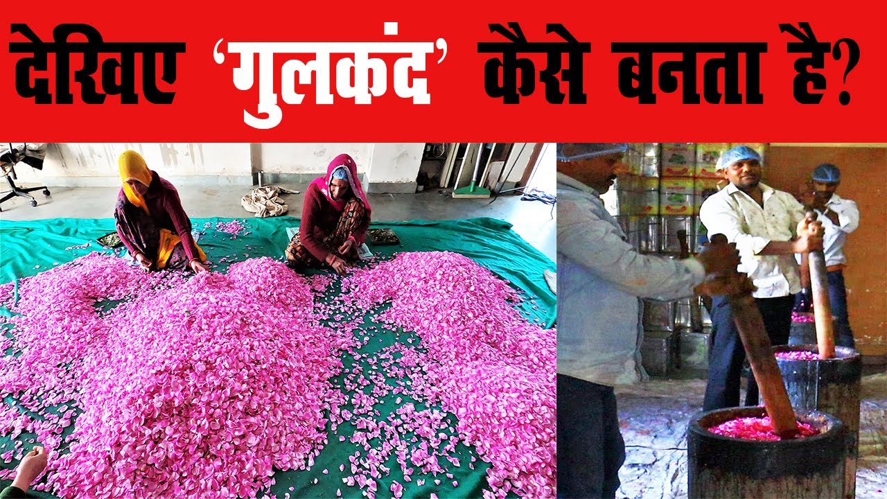 गुलकंद के फायदे | gulkand recipe | gulkand kaise banate hai | gulkand ladoo | gulkand lassi