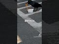 激辛ペヤングを食べたカラスw #tiktok#生き物 #short #激辛ペヤング