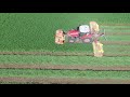 Уборка люцерны на сенаж, июнь 2021 (технологические моменты снятые с квадрокоптера)