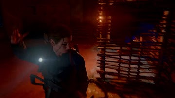 The Last of Us Part 2 - Scars Bridge with Abby