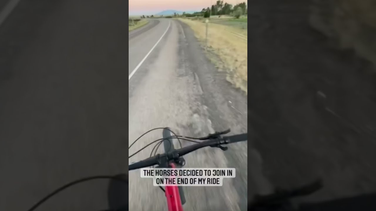 Biker Vs Horses Race