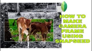 HOW TO MAKE CAMERA FRAME USING SNAPSEED | Tutorial screenshot 3