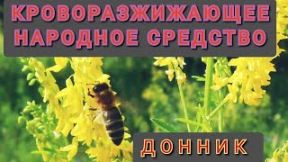 Рецепт кроворазжижающего травяного сбора.  Донник лекарственный - растение разжижиющее кровь.