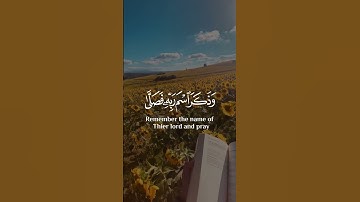 عبدالرحمن مسعد سورة الأعلى اجمل حالات واتس اب دينية 🎧😌