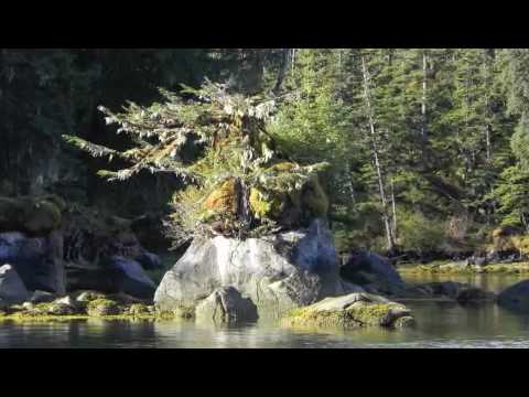 Day Trippin' in Prince WIlliam Sound