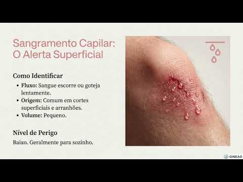 Aula 23 - Primeiros Socorros