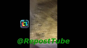 Bird Attacks Man For Taking Its Eggs