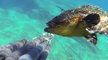 B Daniel Double polispast invert roller