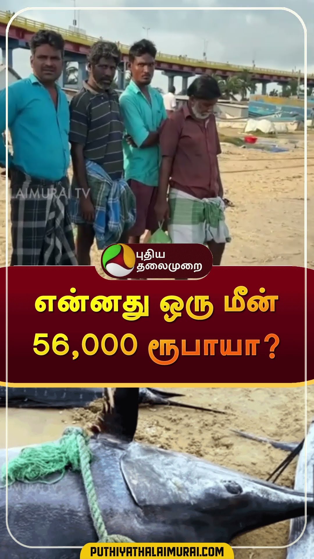 என்னது ஒரு மீனு 56,000 ரூபாயா? | #shorts | #ramanathapuram | #pampanbridge