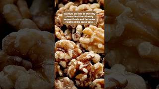 Walnuts look like a brain… and honestly, they work like one too.