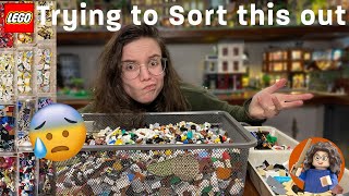 How to sort your LEGO Parts - Tips, tricks and how I do it