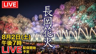 お祭り男 / Festival Freakの配信のサムネイル画像