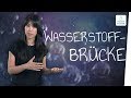 Was sind wasserstoffbrckenbindungen i musstewissen chemie